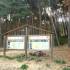Bosques de Valsaín y Real Sitio de La Granja: Ruta de Senderismo; seguro federacion montaña federars